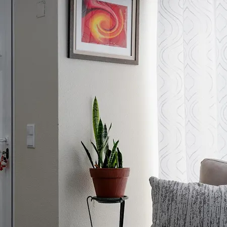 Cantinho Do Ceu, Views, Peace, Comfort & Bbq * Ribeira Brava